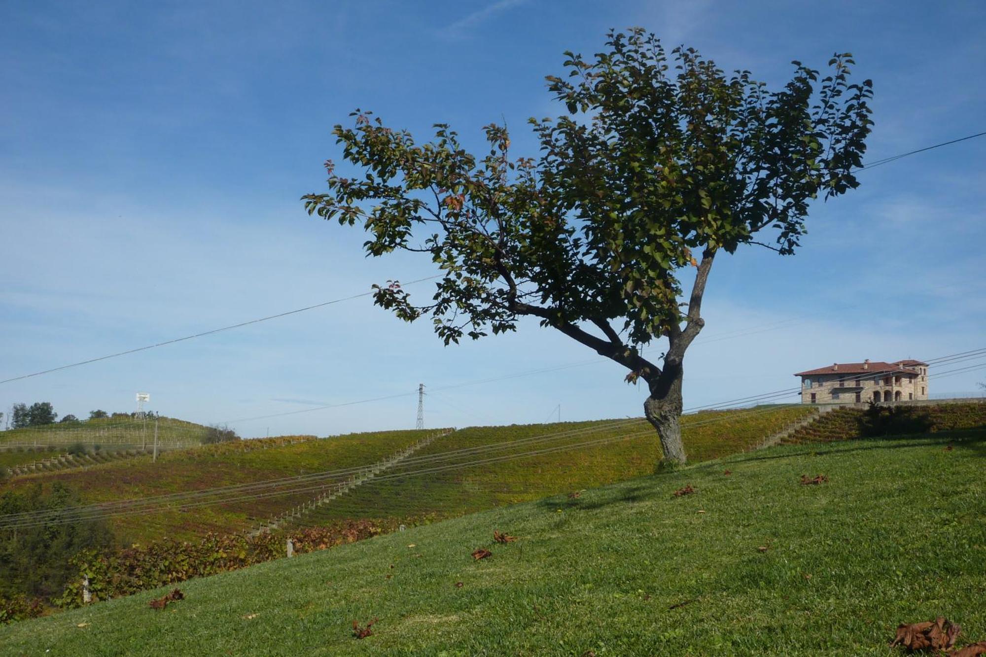 Bricco Rosso Pension Farigliano Buitenkant foto